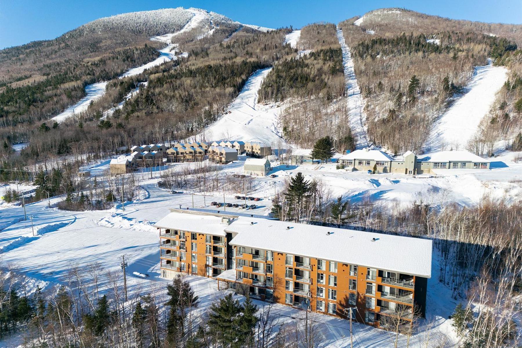 Les Appartements Du Massif De Charlevoix Petite-Riviere-Saint-Francois Dış mekan fotoğraf
