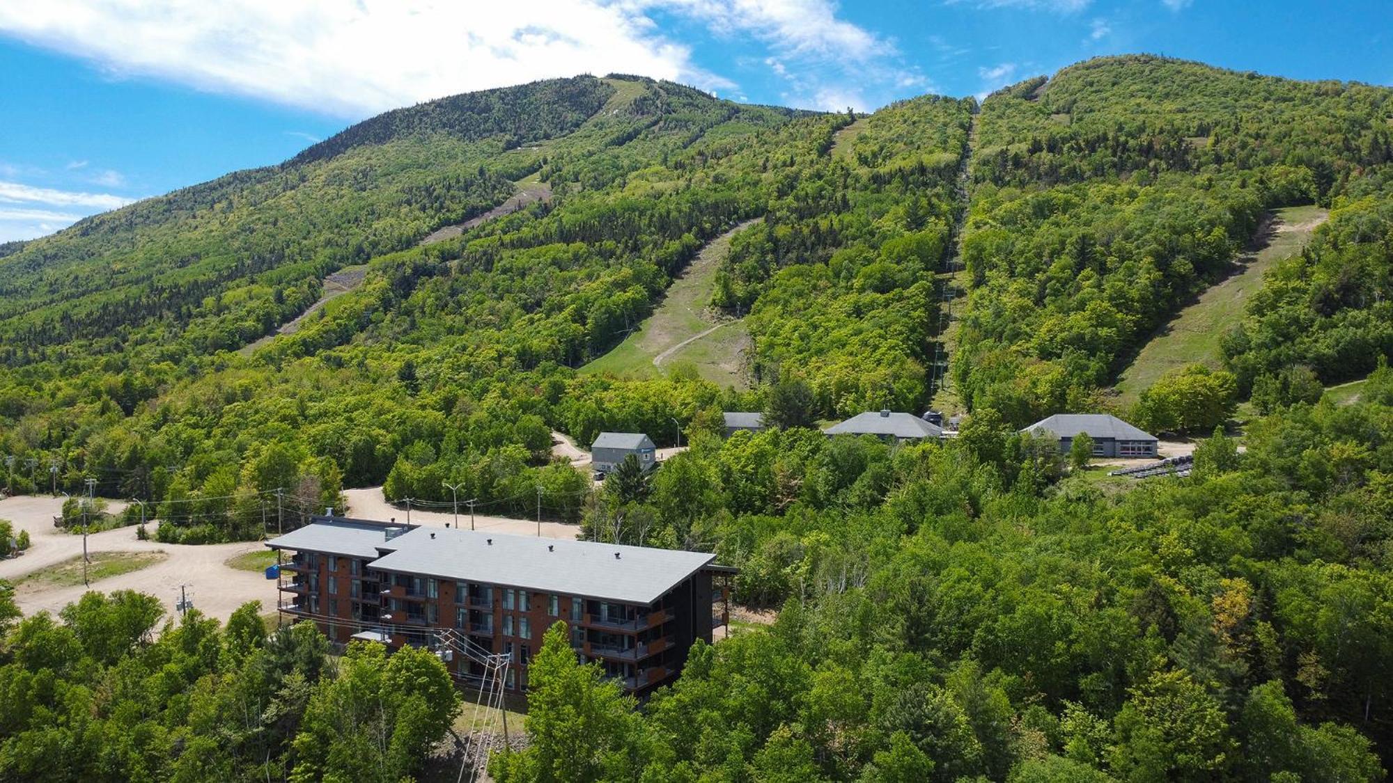 Les Appartements Du Massif De Charlevoix Petite-Riviere-Saint-Francois Dış mekan fotoğraf
